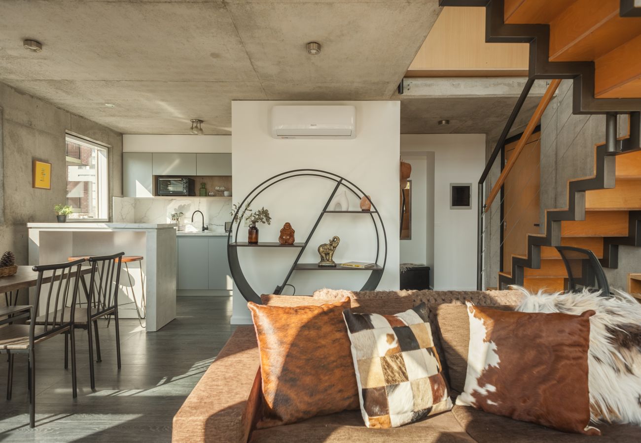 Apartamento en Buenos Aires - Fitz Roy . Disfrutá Buenos Aires Increíble Loft