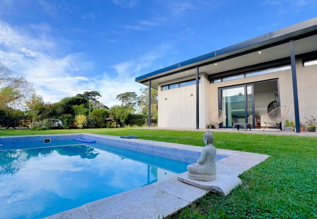 Estudio en Mar Del Plata - Casa Paola