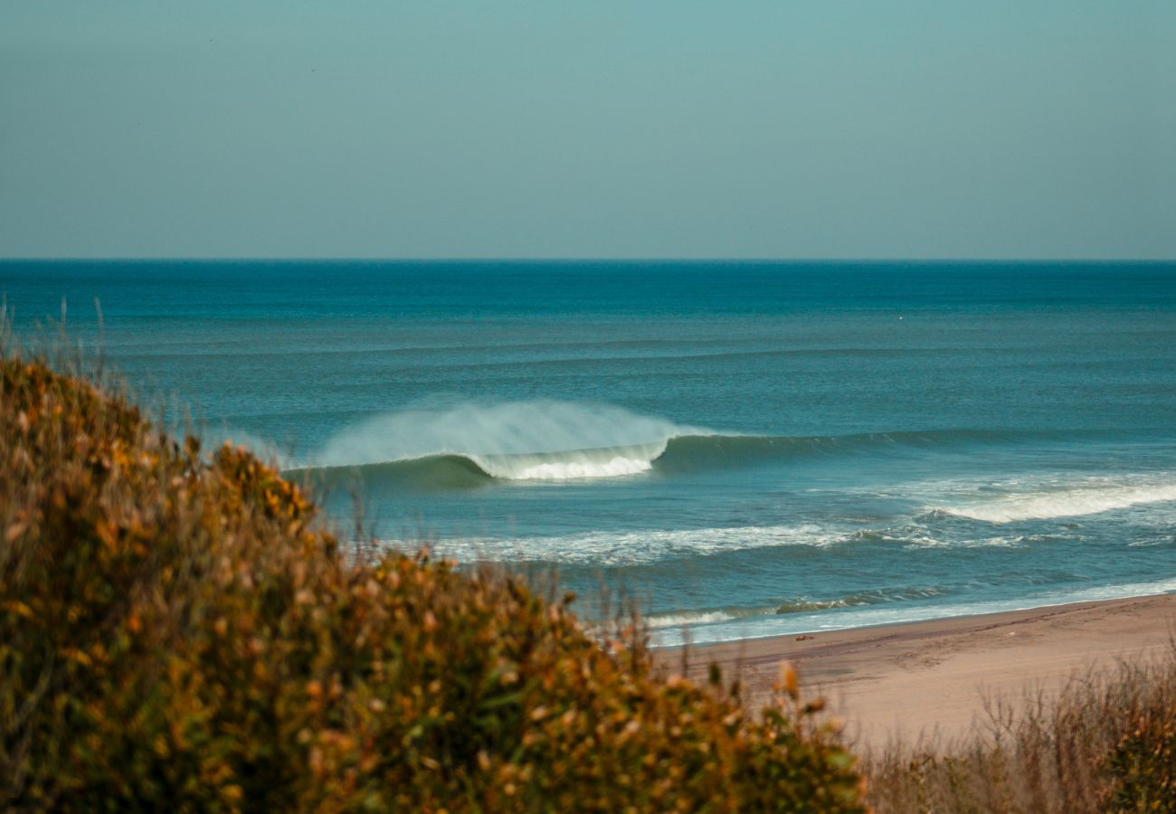 House in Chapadmalal - Dread Chapa casa 2